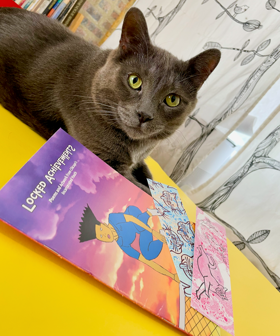 a gray cat with the Locked Achievements book and two bookmarks featuring block printed images of him