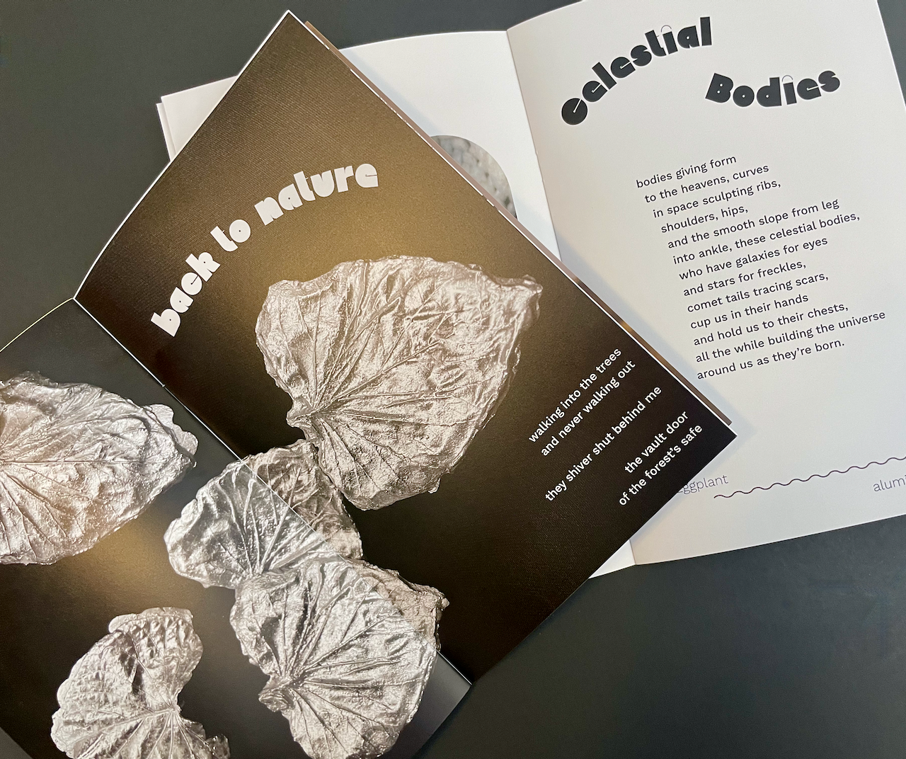 "My Toe is on the Trip Wire" exhibition catalog. Two open catalogs are on top of each other. The top one shows aluminum sweet potato leaves and says: back to nature, walking into the trees and never walking out they shiver behind me the vault door of the forest's safe. The catalog under it says: Celestial bodies