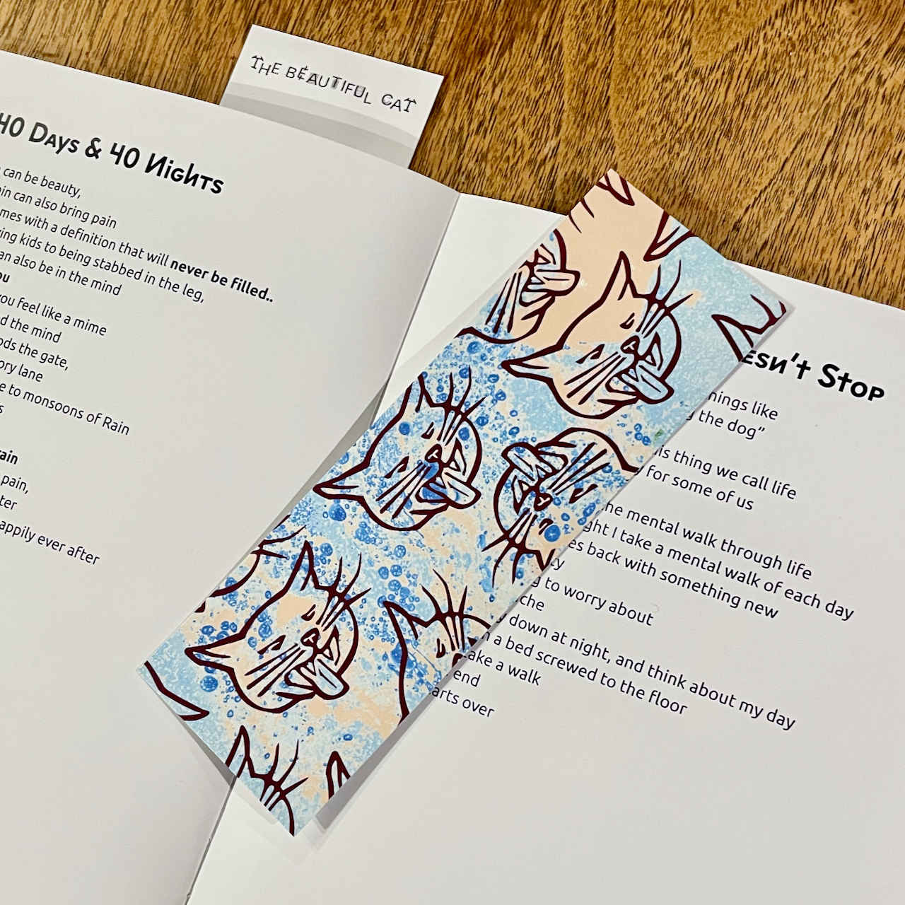 a bookmark on top of the Locked Achievements book. The bookmark features hissing cat faces on a blue and tan marbled background