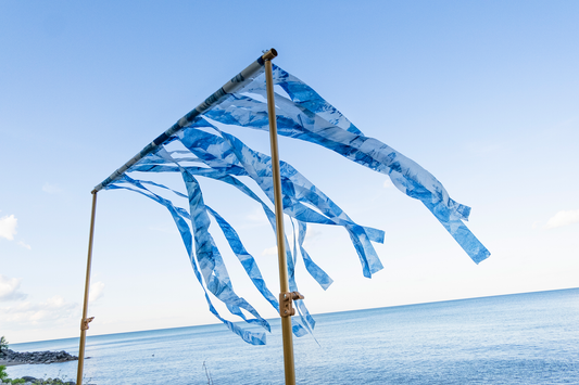 Cyanotype Curtains